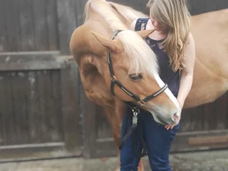 Katrin Krause in ruhiger Begegnung mit einem braunen Pferd bei Gut Neuhof
